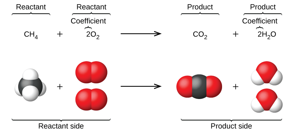 Chemical reaction simulation molecule examples
